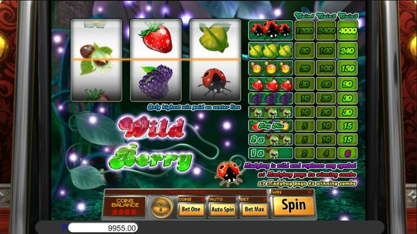 Wild Berry 3 Reel - Saucify